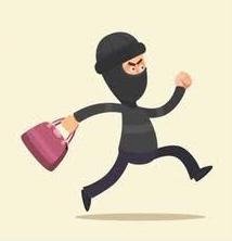 शिवप्रहार न्यूज- नटराजची बोळ परिसरात तरुणीची पर्स चोरीला...