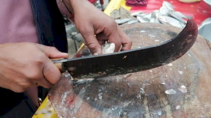 शिवप्रहार न्यूज- श्रीरामपुरात चारित्र्यावर संशय घेऊन मासे कापण्याच्या कोयत्याने पत्नीच्या डोक्यात वार…