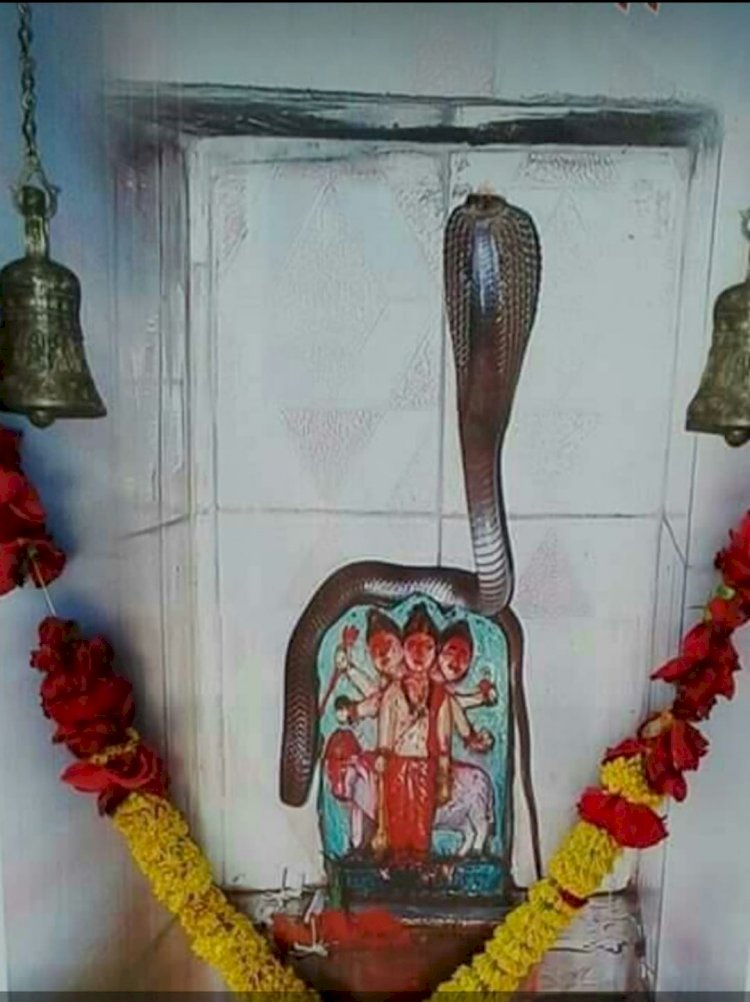 शिवप्रहार न्यूज- बजरंगनगर मधील श्री.नागराज दत्त मंदिरात शनिवारी श्रीदत्त जयंती उत्सव…