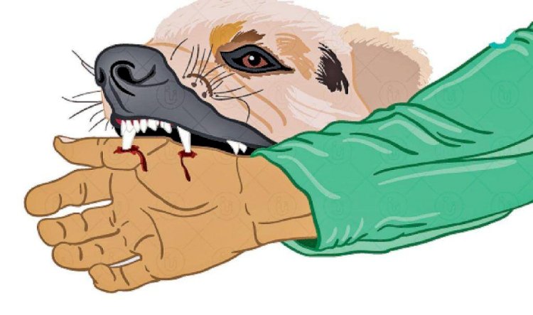 शिवप्रहार न्युज - कुतरं बांधून ठेवा म्हटल्याने कुत्र्याला चावायला लावून मारहाण…