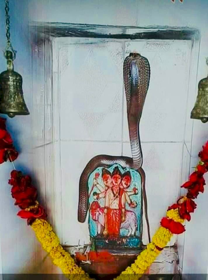शिवप्रहार न्युज - सालाबादप्रमाणे याही वर्षी बजरंगनगर मध्ये दत्तजयंती उत्साहात होणार...