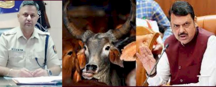शिवप्रहार न्युज - गोतस्करांवर धडाकेबाज कारवाई करणाऱ्या एसपी ओलांचा मुख्यमंत्री फडणवीस यांनी गौरव करावा !